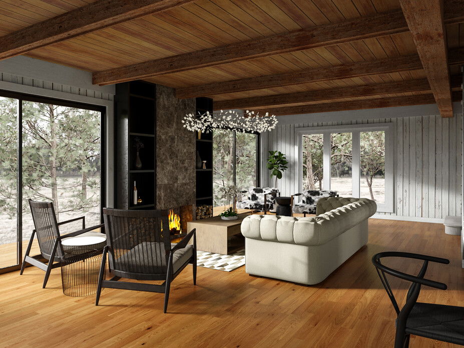 Rustic Glam Living Room Virtual Interior Design